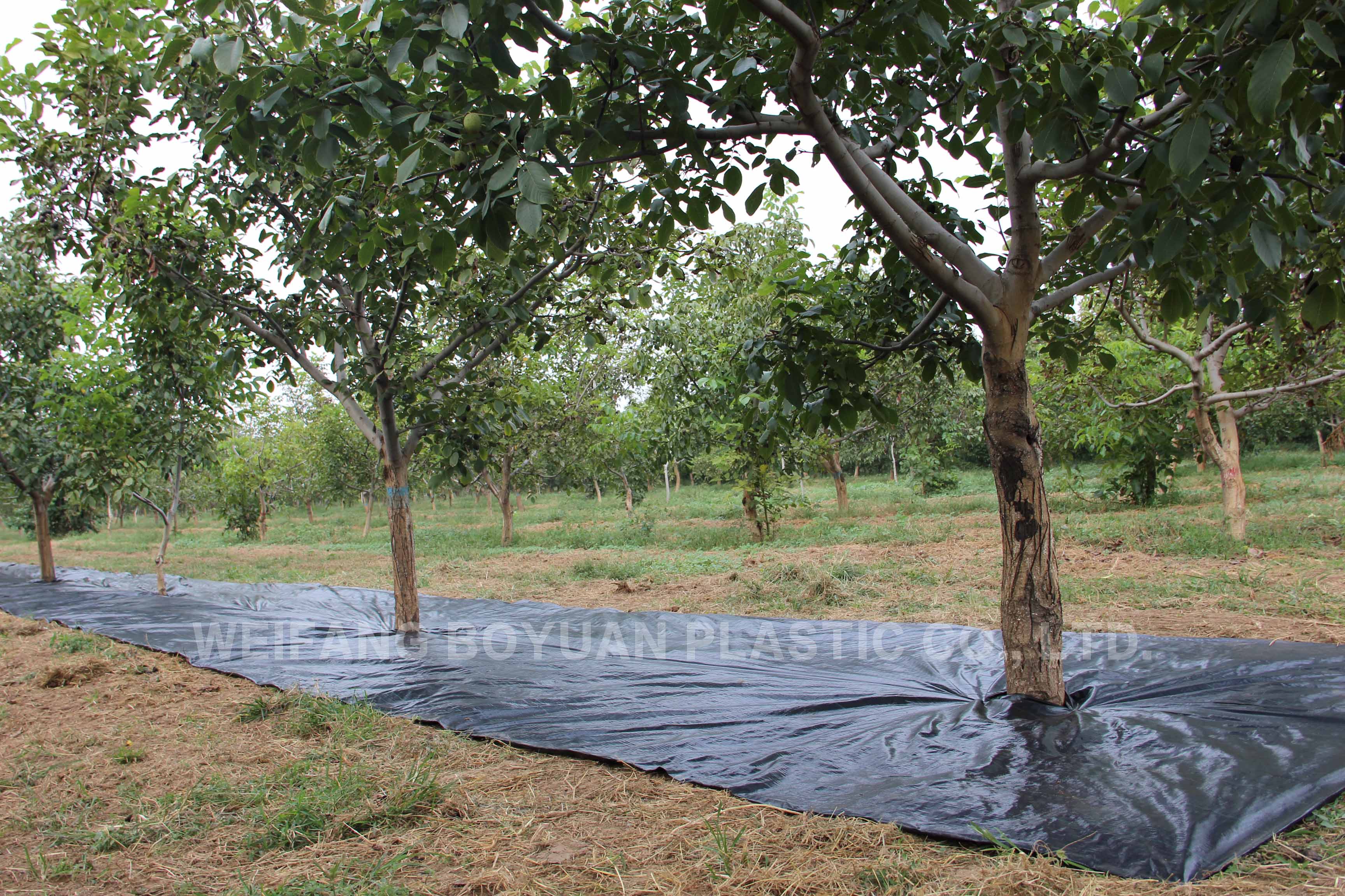 weed control fabric